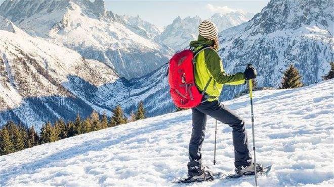 网络图片(侵删) 网络图片(侵删)