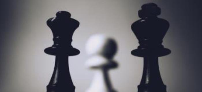 网络图片(侵删) 网络图片(侵删)