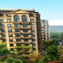 网络图片(侵删) 网络图片(侵删)