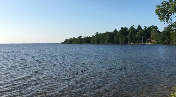 网络图片(侵删) 网络图片(侵删)