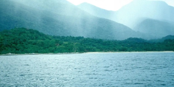 网络图片(侵删) 网络图片(侵删)