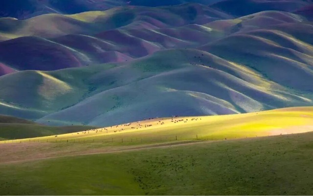 网络图片(侵删) 网络图片(侵删)