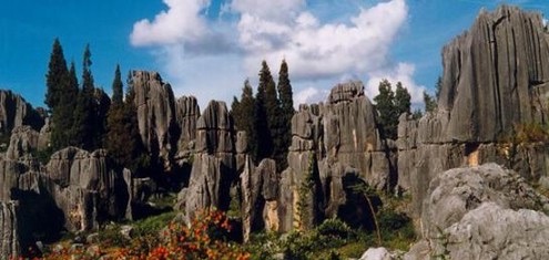 网络配图 网络配图