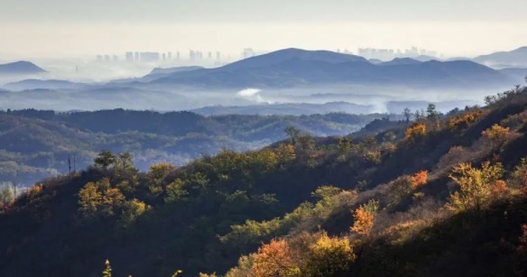 网络配图 网络配图