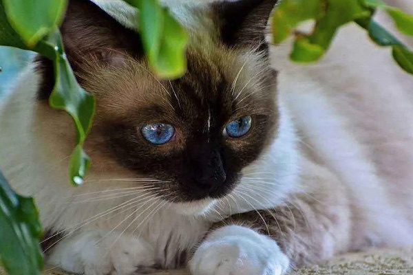 网络配图 网络配图