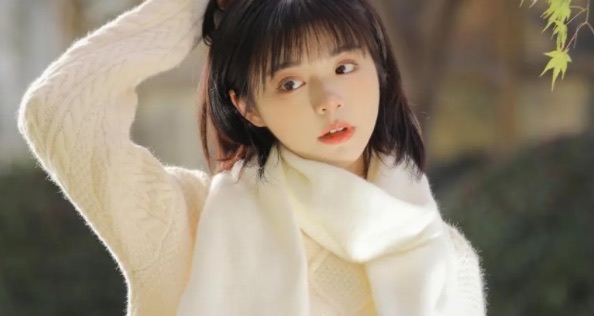 网络图片(侵删) 网络图片(侵删)