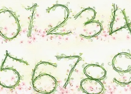 网络图片(侵删) 网络图片(侵删)