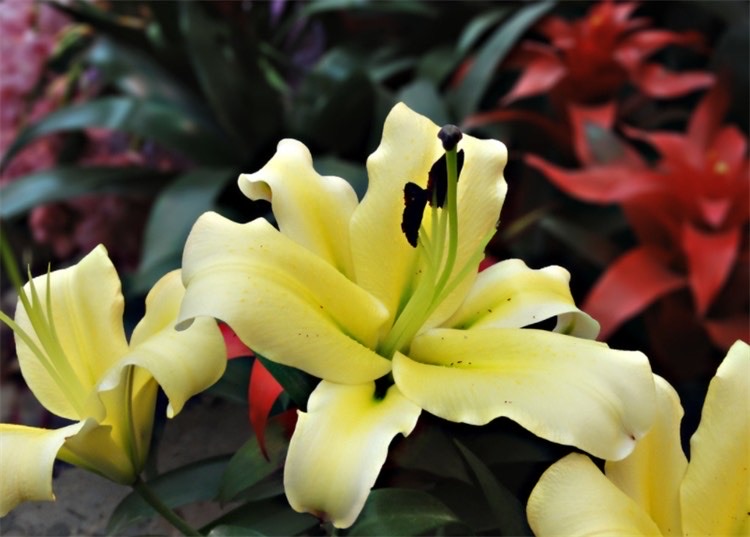 网络配图 网络配图