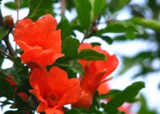 网络配图 网络配图