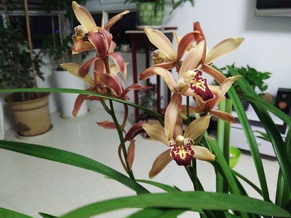 网络配图 网络配图