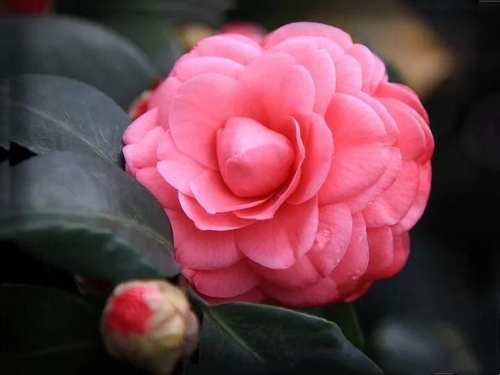 网络配图 网络配图