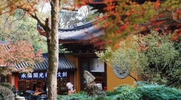 网络图片(侵删) 网络图片(侵删)