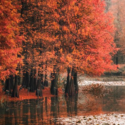 网络图片(侵删) 网络图片(侵删)
