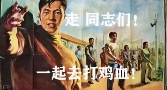 网络图片(侵删) 网络图片(侵删)