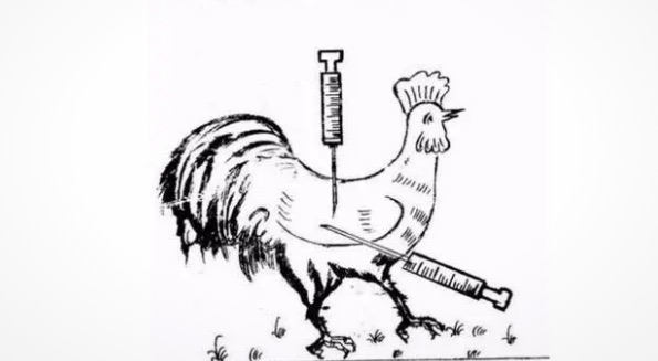 网络图片(侵删) 网络图片(侵删)