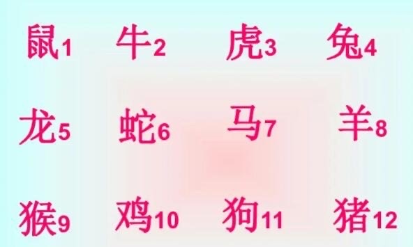 网络配图 网络配图