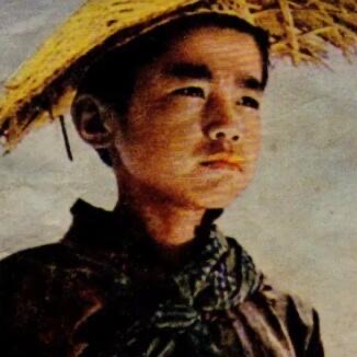 网络图片(侵删) 网络图片(侵删)