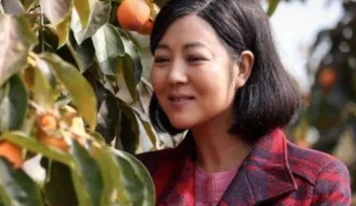 网络图片(侵删) 网络图片(侵删)